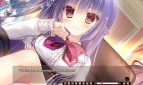 The logic of the miniature garden Adult Game Screenshot (1)