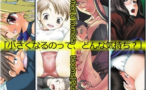 When A Mimosa Blooms Adult Game Cover