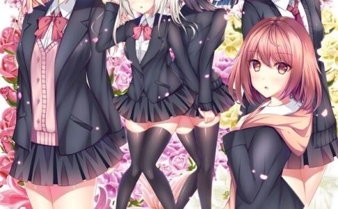 White Wings Adult Game Cover