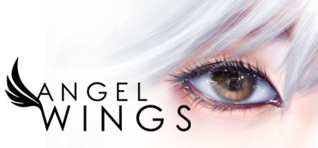 Angel Wings Adult Game Cover