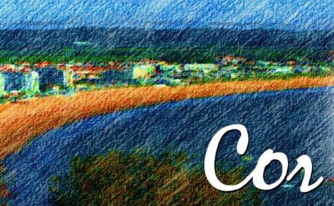 Cor Adult Game Cover