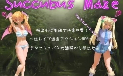 Succubus Maze Adult Game Cover