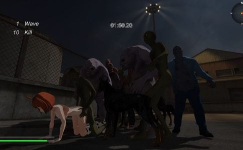 Secret Survey Adult Game Cover