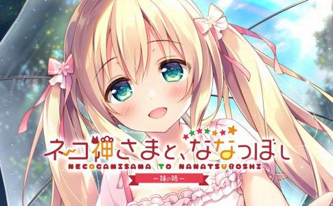 The Seventh Sign Mr.Sister Adult Game Cover