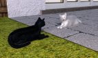 Tubby - A Catventure Adult Game Screenshots (3)