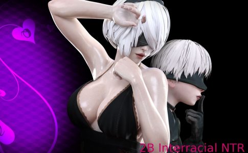 2B Interracial NTR Adult Game Cover