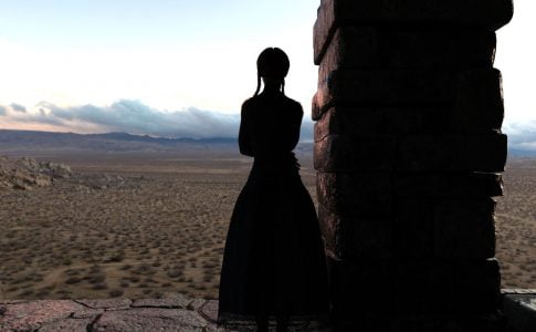 A Robin’s Flight Adult Game Cover