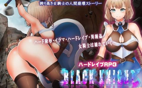 Black Knight Knight of Insult Adult Game Cover