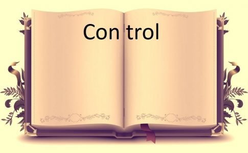 Control ADULT Game Cover