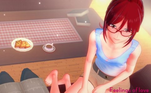 Feelings of Love Adult Game Cover