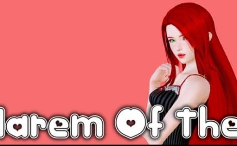 Harem of the Princess Adult Game Cover