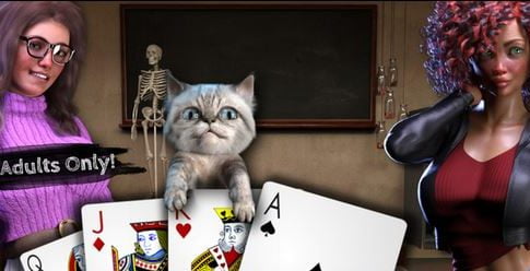 Strip Black Jack Sex Teacher Adult Game Cover