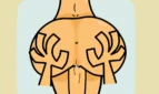 Total Drama Harem Adult Game Screenshot (7)