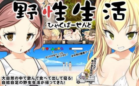 Escape From Uninhabited Island Survival Adult Game Cover