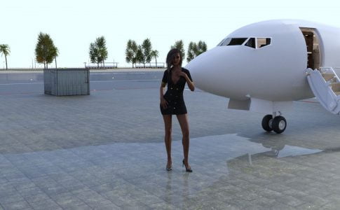 My New Life as a Stewardess Adult Game Cover
