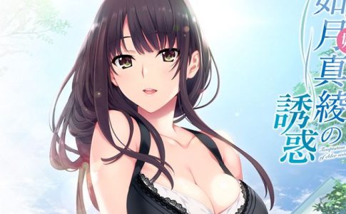 Onee Chan no Yuuwaku Adult Game Cover