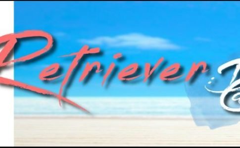 Retriever Da Capo Adult Game Cover