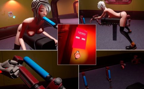 Sex Machines Adult Game Cover