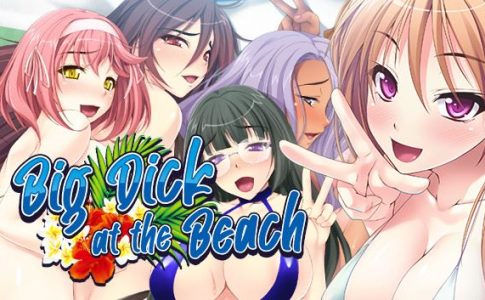 Big Dick at the Beach Adult Game Cover