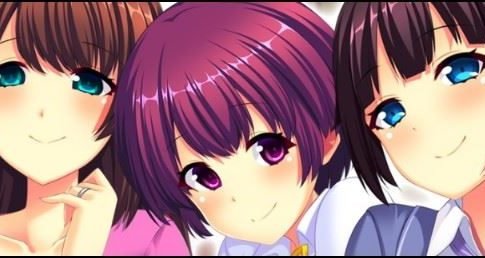 Doki Doki Family Idiosyncratic pounding family life Adult Game Cover