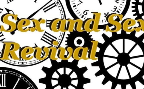 Sex and Sex Again Revival Adult Game Cover