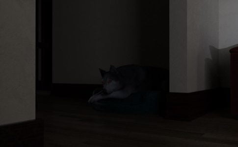 Dogmonic Adult Game Cover