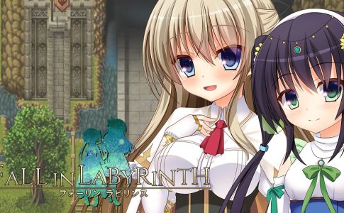 FALL IN LABYRINTH Adult Game Cover
