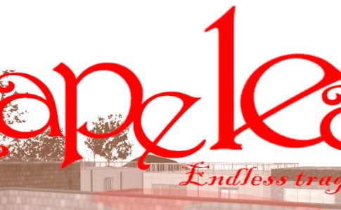 Rapeleap Adult Game Cover