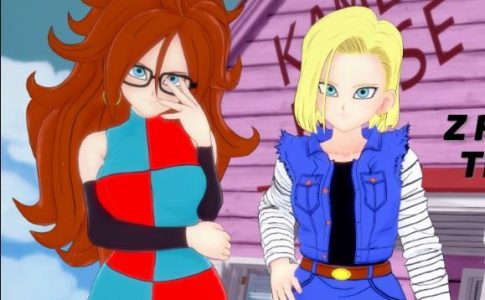 Z Fighter Training Adult Game Cover