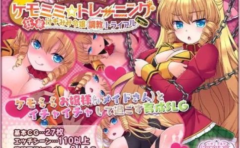 ChemoMimi☆Training + DLC Adult Game Cover