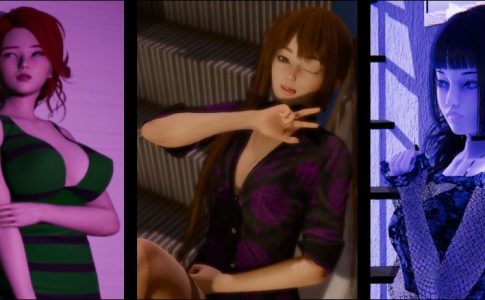 (D)Conversion Adult Game Cover