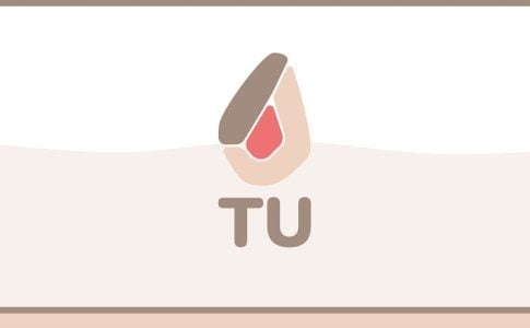 TU Project Adult Game Cover