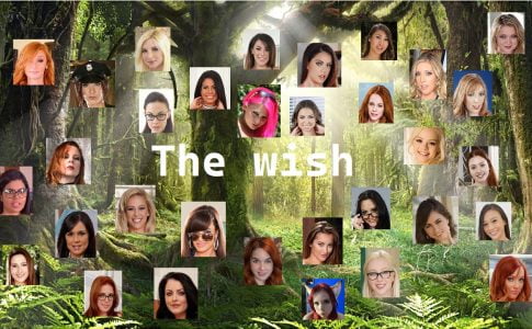 The Wish Adult Game Cover