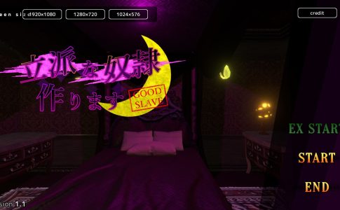 Make a good Slave Adult Game Cover