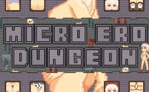 Micro Ero Dungeon Adult Game Cover