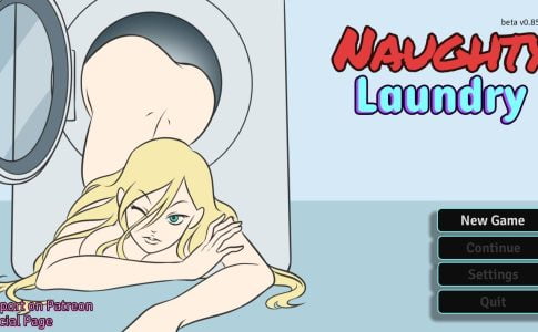 Naughty Laundry Adult Game Cover