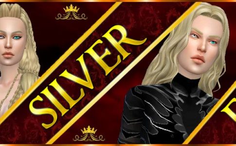 Silver Family Adult Game Cover