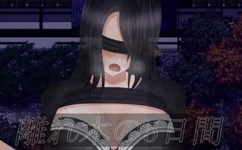 5 days of separation Adult Game Cover