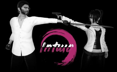 Intwo Adult Game Cover