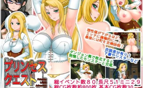 Princess Quest A Princess of Shame and Humiliation Adult Game Cover