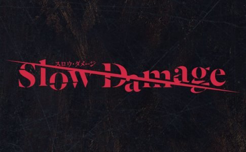 Slow Damage Adult Game Cover