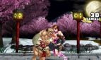 Strip Fighter 5 Chimpocon Edition Adult Game Screenshot (3)