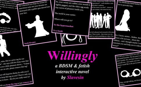 Willingly Adult Game Cover