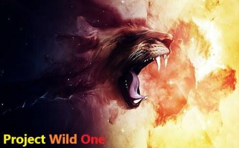 Project Wild One Adult Game Cover