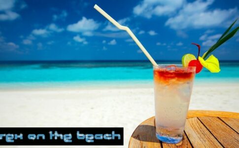 Sex on the Beach Adult Game Cover