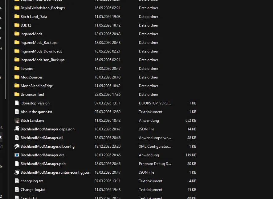 Mods Installation (1)
