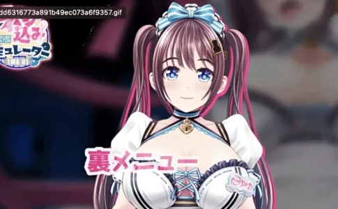 Screw-In Simulator Adult Game Cover