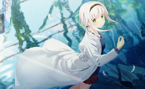 The Future Radio and the Artificial Pigeons Adult Game Cover