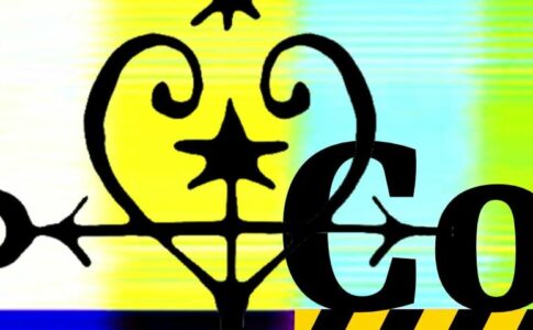 Consort Adult Game Cover