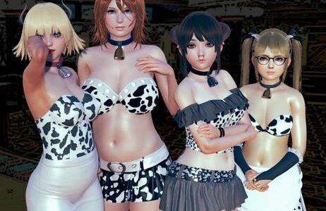 Cowgirl Casino Adult Game Cover